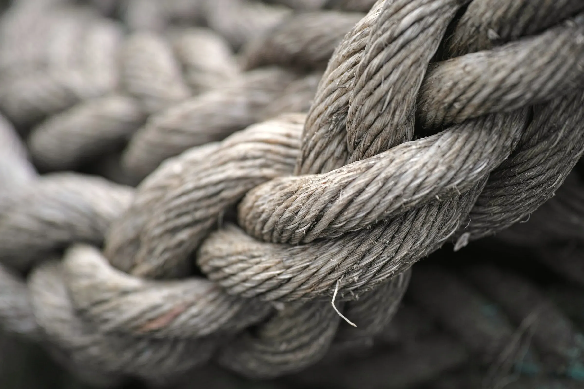 Twisted natural fibre cord