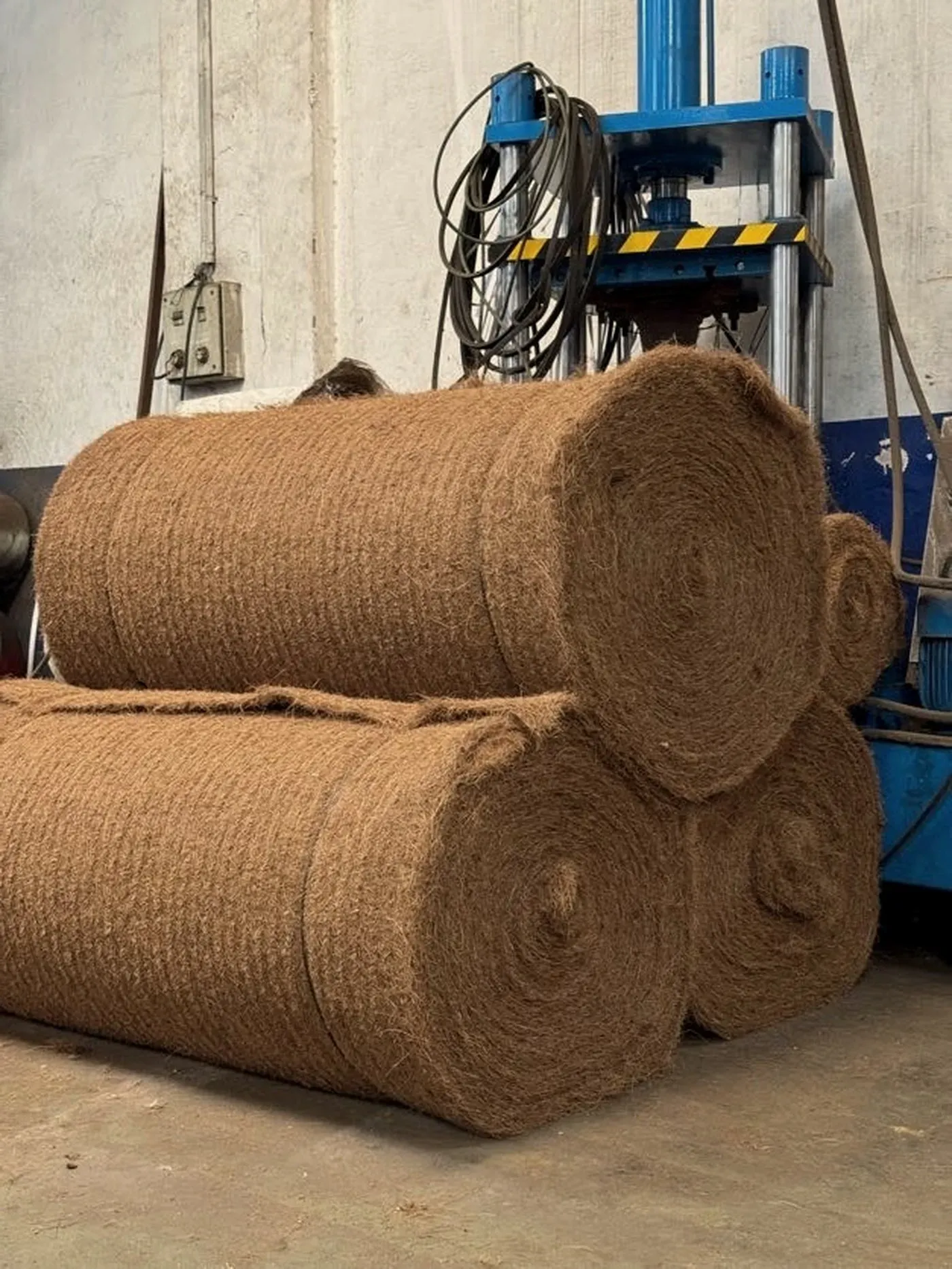 Finished coir needle felt wound into rolls and stacked beside the press